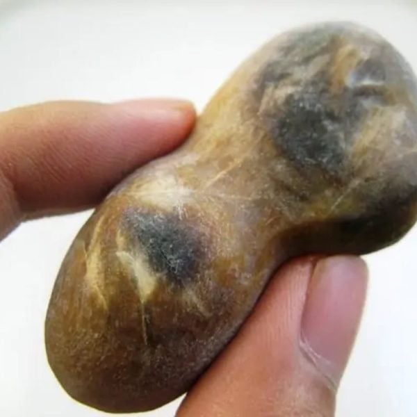 Asem Wood Fossil - Type B3 - Image 2