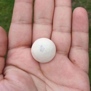 Sweetpea Pearl - Type A (Polong)