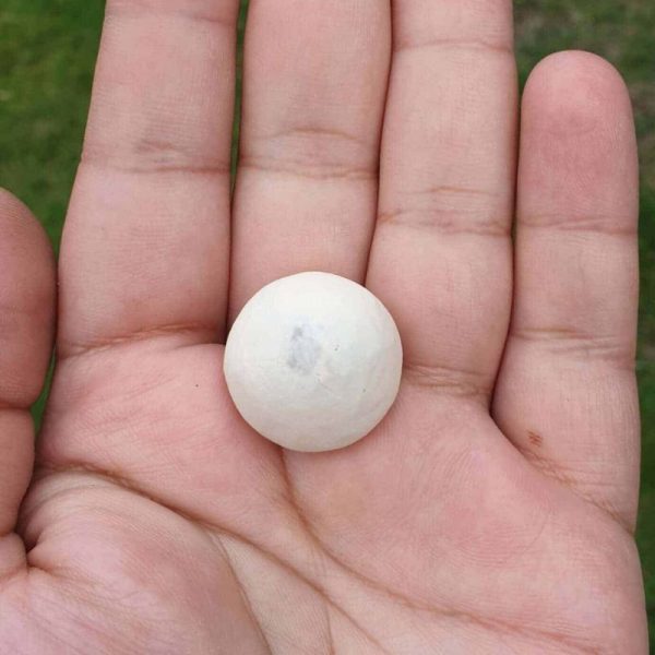 Sweetpea Pearl - Type A (Polong)