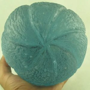Sea Flower Pearl - Type B