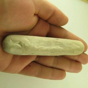 Kelor Wood Fossil - Type A3