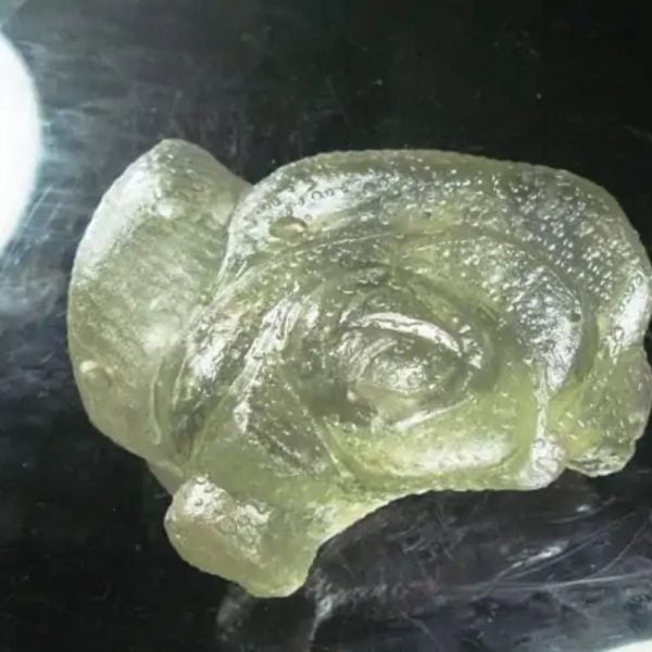 Fossilized Tunjung Karang Sea Flower – Type A1