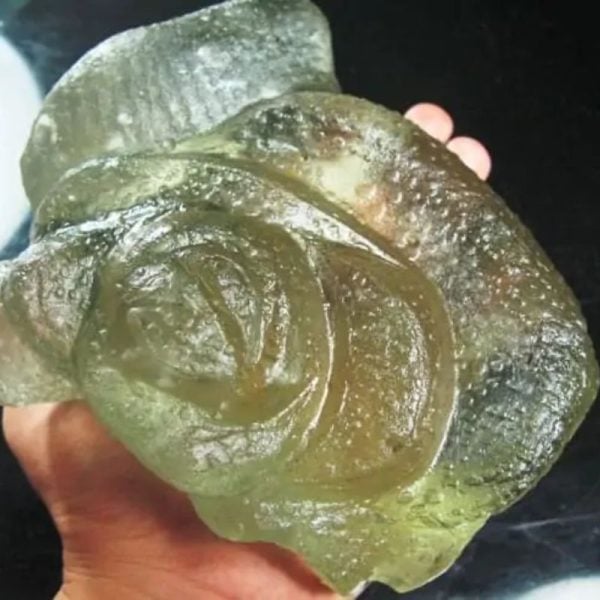Fossilized Tunjung Karang Sea Flower – Type A1 - Image 3