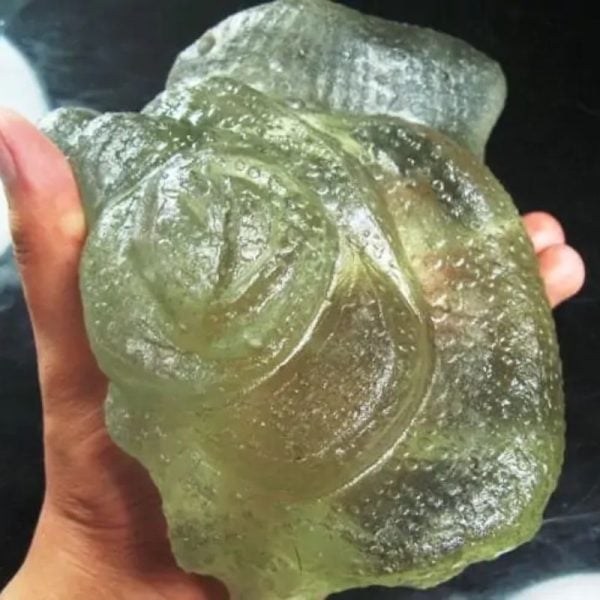 Fossilized Tunjung Karang Sea Flower – Type A1 - Image 2