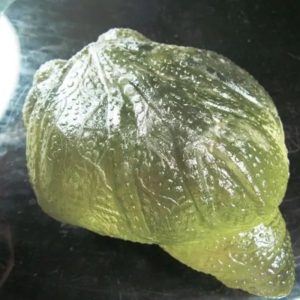 Fossilized Tunjung Karang Sea Flower – Type A2