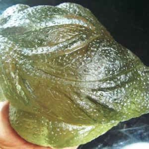 Fossilized Tunjung Karang Sea Flower – Type A5