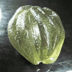 Fossilized Tunjung Karang Sea Flower – Type A3