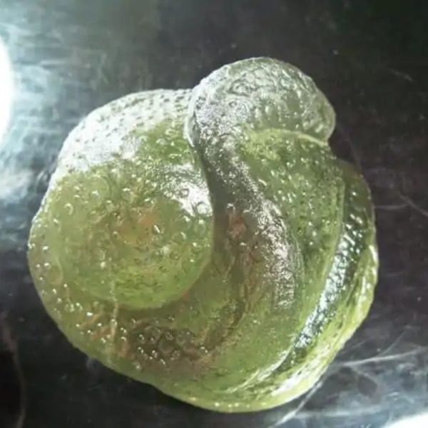 Fossilized Tunjung Karang Sea Flower – Type A4