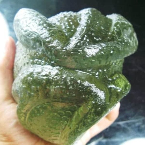 Fossilized Tunjung Karang Sea Flower – Type A4 - Image 3