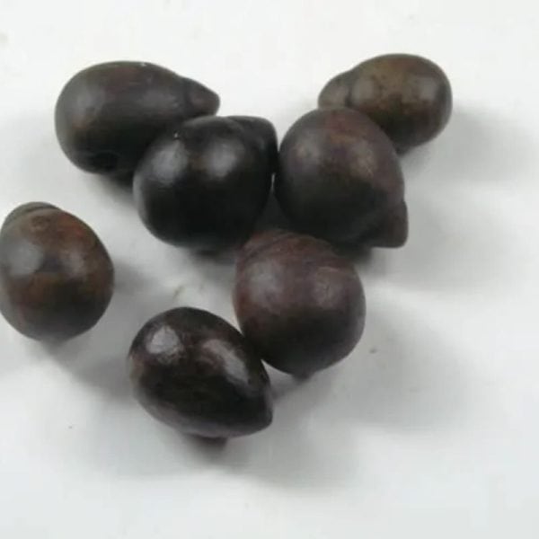 Black Coconut Pearl - Type B