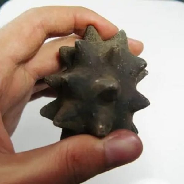 Morinda Fruit Pearls - Type A2 Slight Fractures - Image 5
