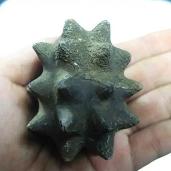 Morinda Fruit Pearls - Type A2 Slight Fractures - Image 2
