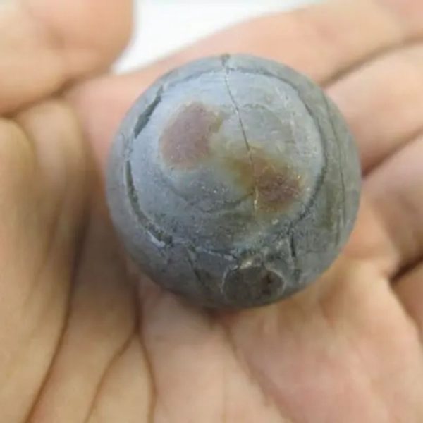 Stigi Wood Pearl - Type A1 - Image 3