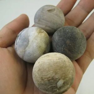 Kaboa Wood Tree Pearl - Type A1