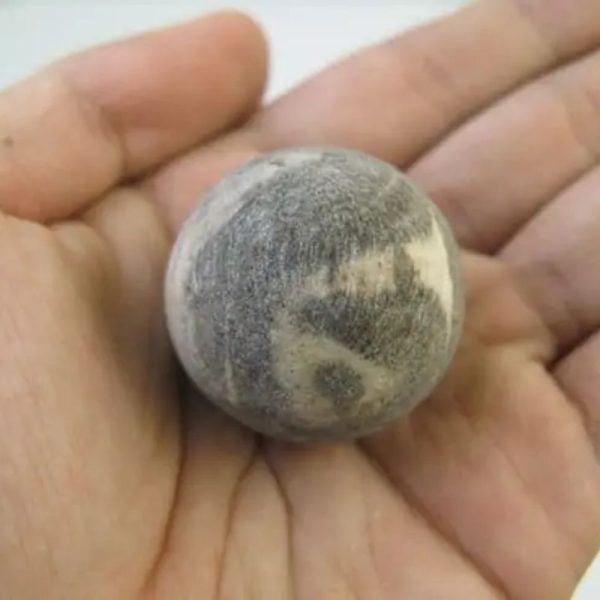 Kaboa Wood Tree Pearl - Type A1 - Image 2