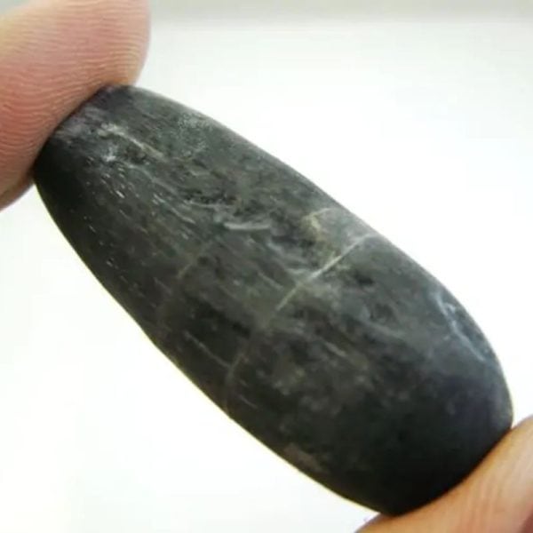 Fossilized Black Stigi - Type B1 - Image 3