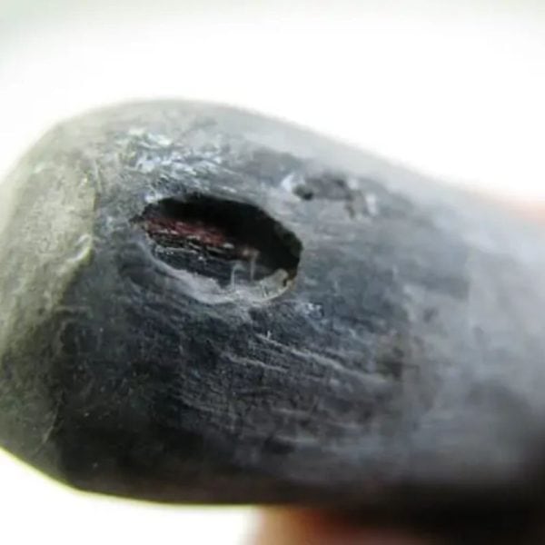 Fossilized Black Stigi - Type B1 - Image 2