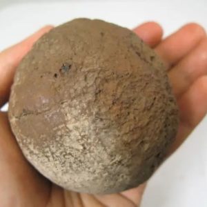 Songgo Wojo Wood Pearl - Type A1