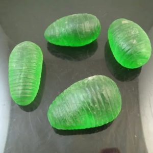 Fish Pearls - Type F2