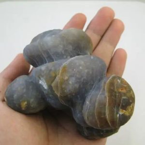 Rojo Mino Fish Heart Fossil - Type A1