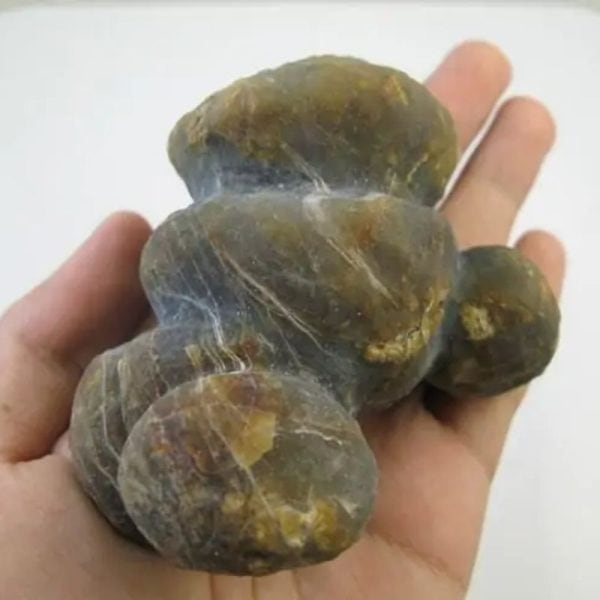 Rojo Mino Fish Heart Fossil - Type A1 - Image 3