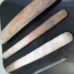 Kencono Wood Fossil - Type A