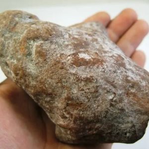 Songgo Wojo Wood Fossil - Type A2