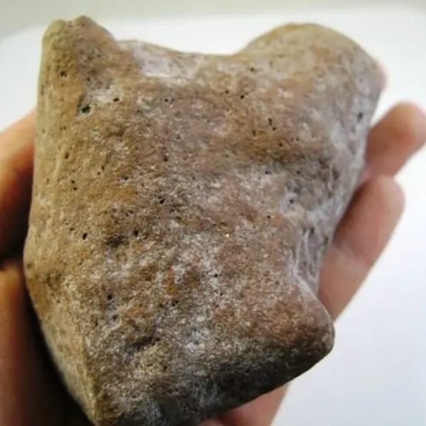 Songgo Wojo Wood Fossil - Type A2 - Image 3
