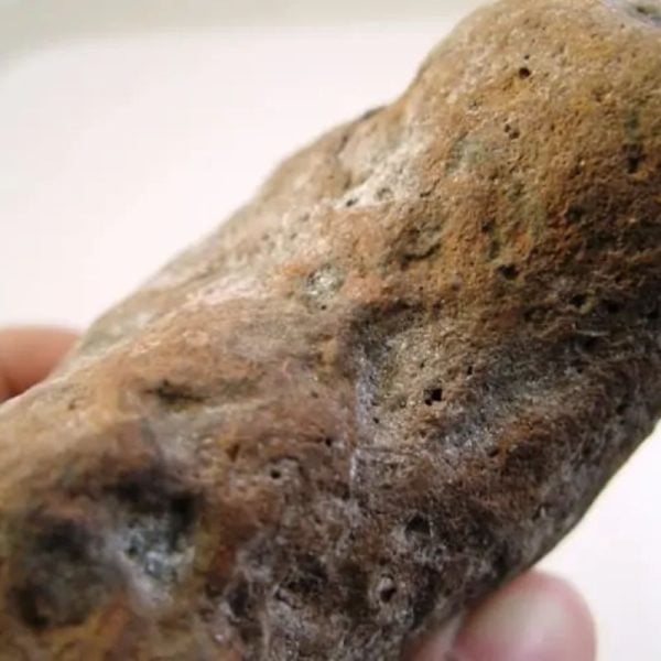 Songgo Wojo Wood Fossil - Type A2 - Image 2