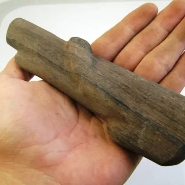 Triwulan Wood Fossil - Type A2 (Black) - Image 4