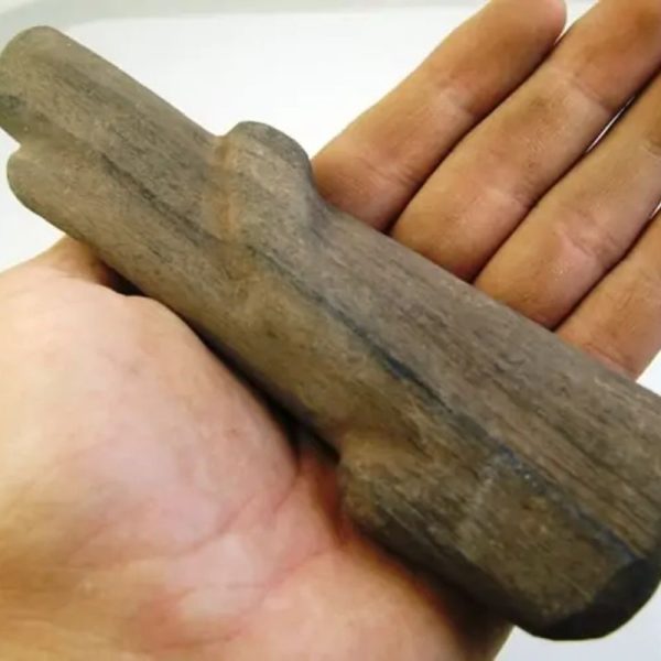 Triwulan Wood Fossil - Type A2 (Black) - Image 2