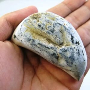 Fossilized Kebak Wood - Type A1