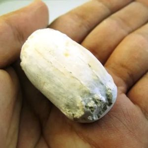 Fossilized Kebak Wood - Type A2