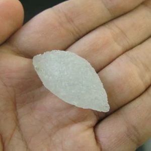 White Carp Fish Pearl - Type A4