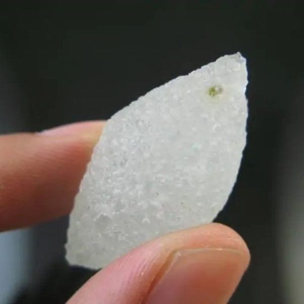 White Carp Fish Pearl - Type A4 - Image 3