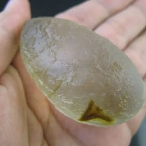 White Carp Fish Pearl - Type A1