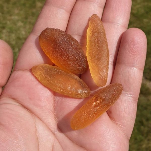 Goldfish Pearls - Type A2 - Image 3