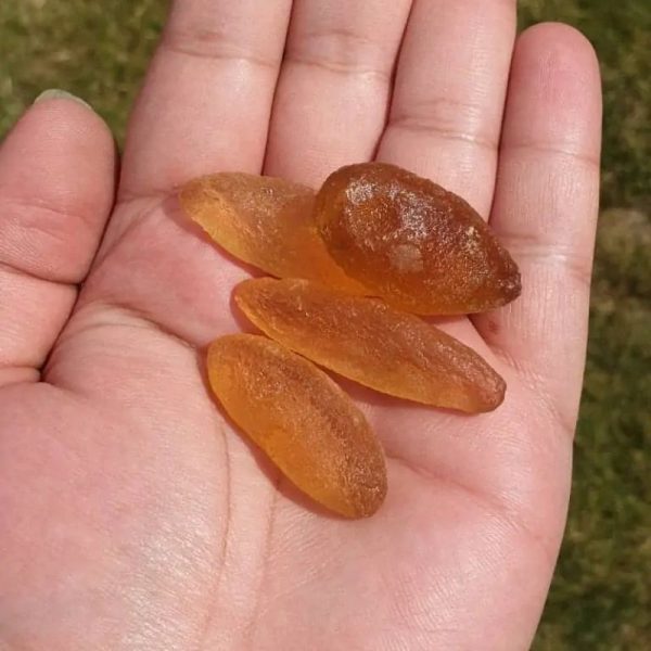 Goldfish Pearls - Type A2 - Image 2
