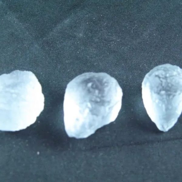 Cetacean Pearls - Type B1 (Male)