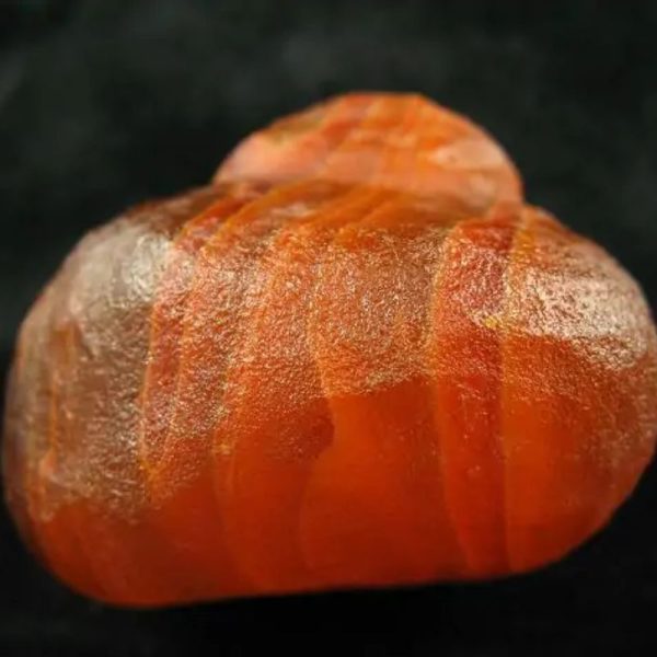 Golden Carp Fish Pearl - Type B2 - Image 8