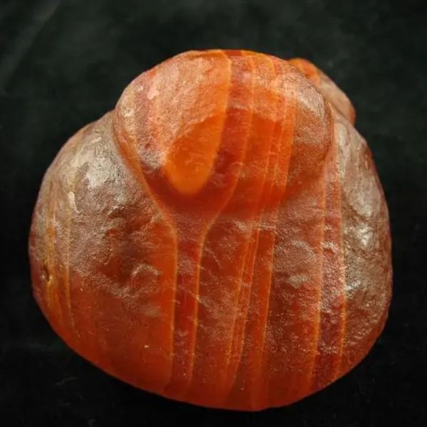 Golden Carp Fish Pearl - Type B2 - Image 7