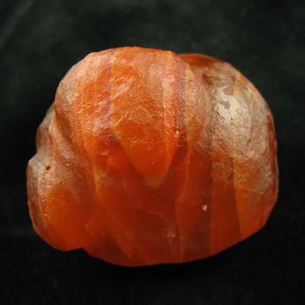 Golden Carp Fish Pearl - Type B2 - Image 6