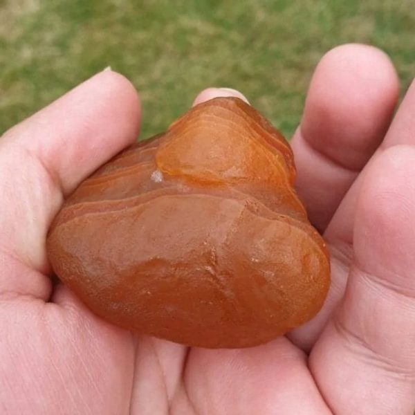 Golden Carp Fish Pearl - Type B2 - Image 3