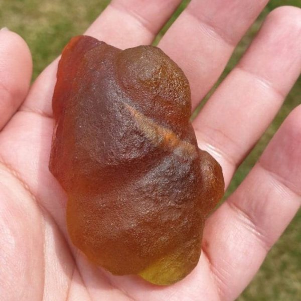 Golden Carp Fish Pearl - Type B6 - Image 3