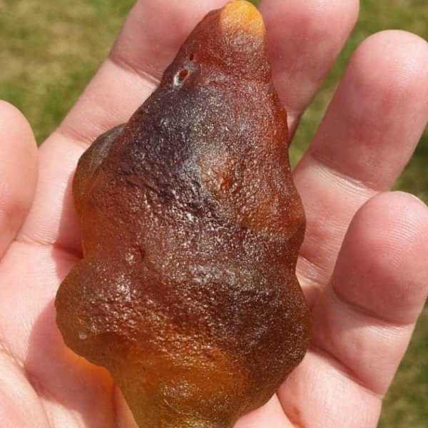 Golden Carp Fish Pearl - Type B6 - Image 2