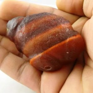 Golden Carp Fish Pearl - Type B3