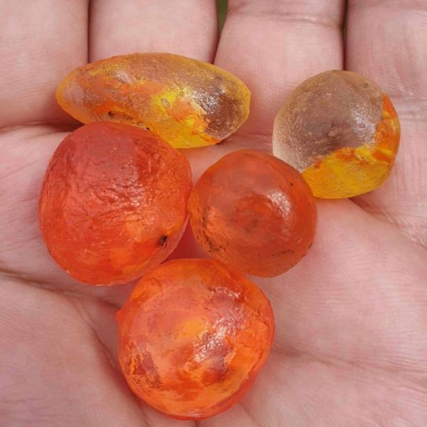 Golden Carp Fish Pearl - Type F - Image 3