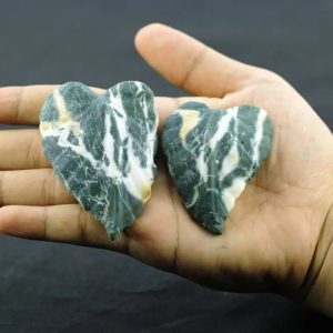 Fossil Leaf - Type H1