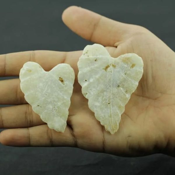 Fossil Leaf - Type H3