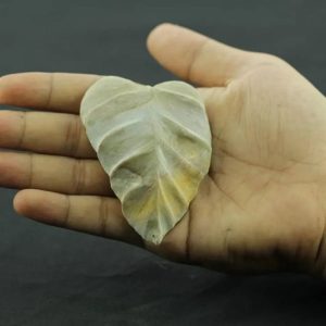 Fossil Leaf - Type H4
